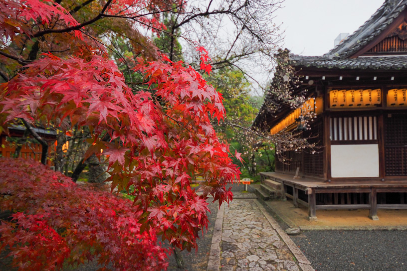 赤山禅院（撮影日：2023年11月17日）