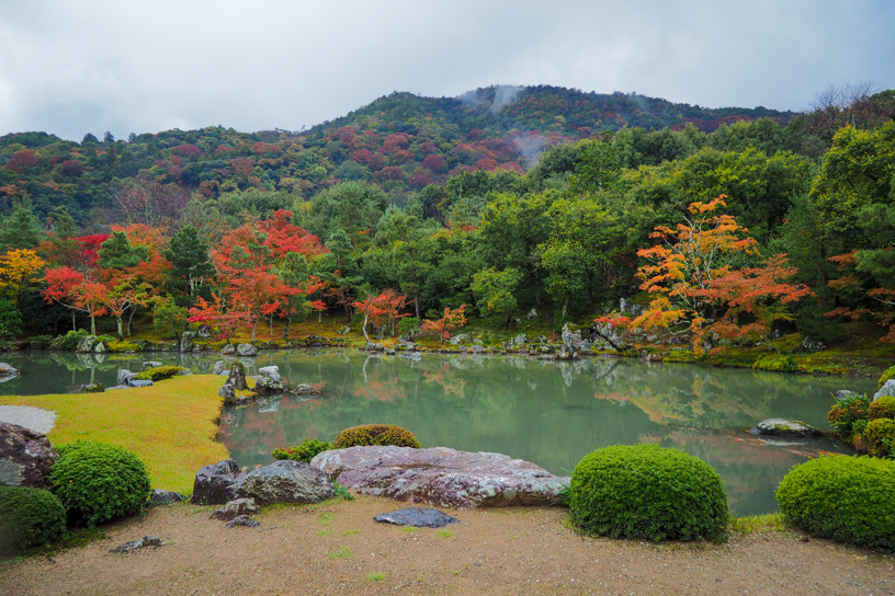 天龍寺 曹源池庭園（撮影日：2023年11月17日）