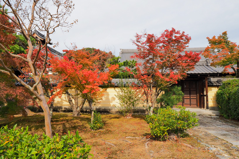 等持院 表門前（撮影日：2023年11月16日）