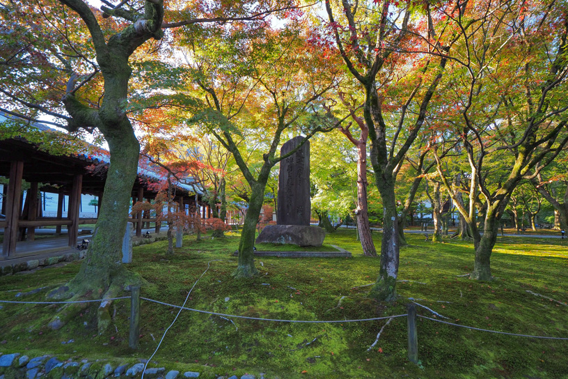 東福寺 洗玉澗（撮影日：2023年11月16日）