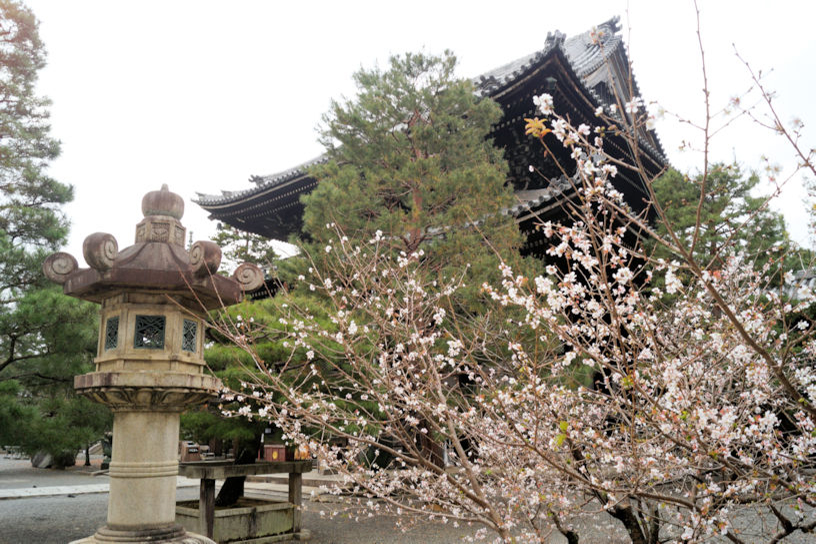 2023年注目！ “徳川家康”をテーマに、京都・東山もみじ散歩
