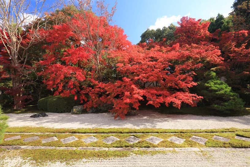 南禅寺 天授庵