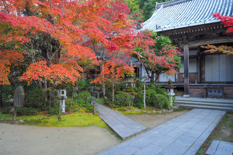 西明寺（撮影日：2023年11月9日）