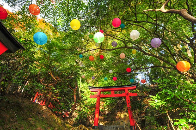 柳谷観音 楊谷寺（撮影日：2023年11月9日）