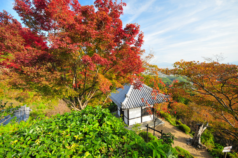 善峯寺（撮影日：2023年11月9日）　