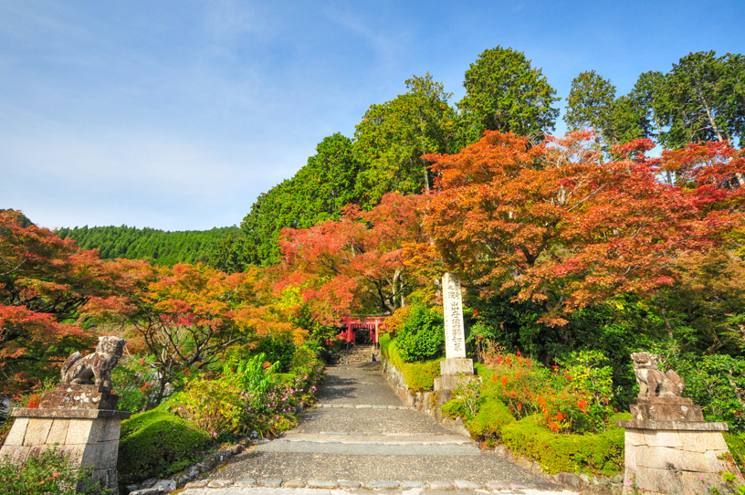 善峯寺（撮影日：2023年11月9日）　