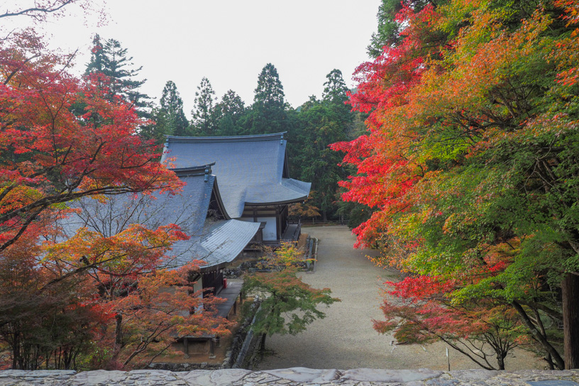 神護寺（撮影日：2023年11月9日）　　