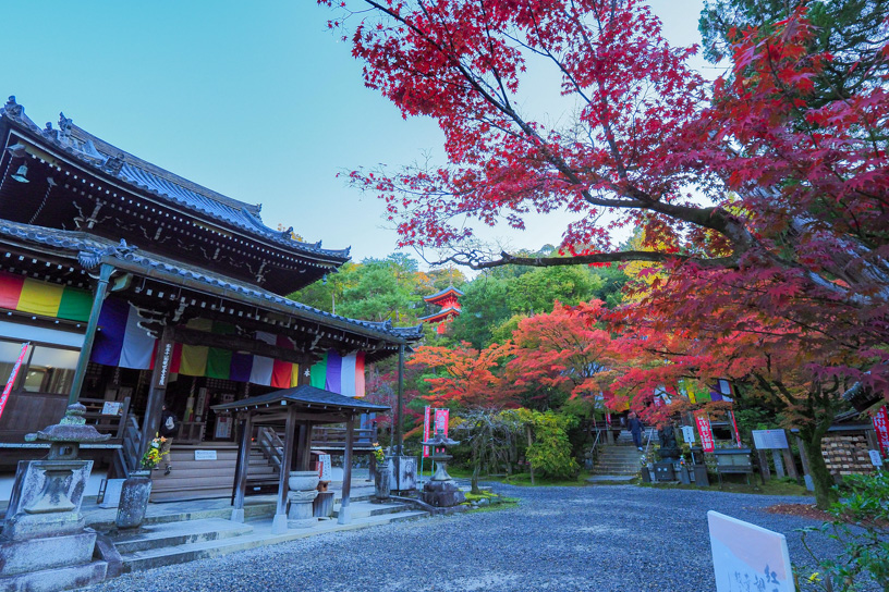 今熊野観音寺（撮影日：2023年11月22日）