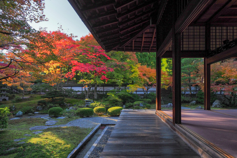 泉涌寺 御座所庭園（撮影日：2023年11月22日）