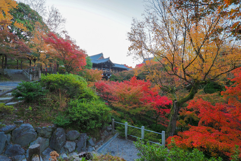 東福寺 通天橋の北側が特に色づいています（撮影日：2023年11月22日）