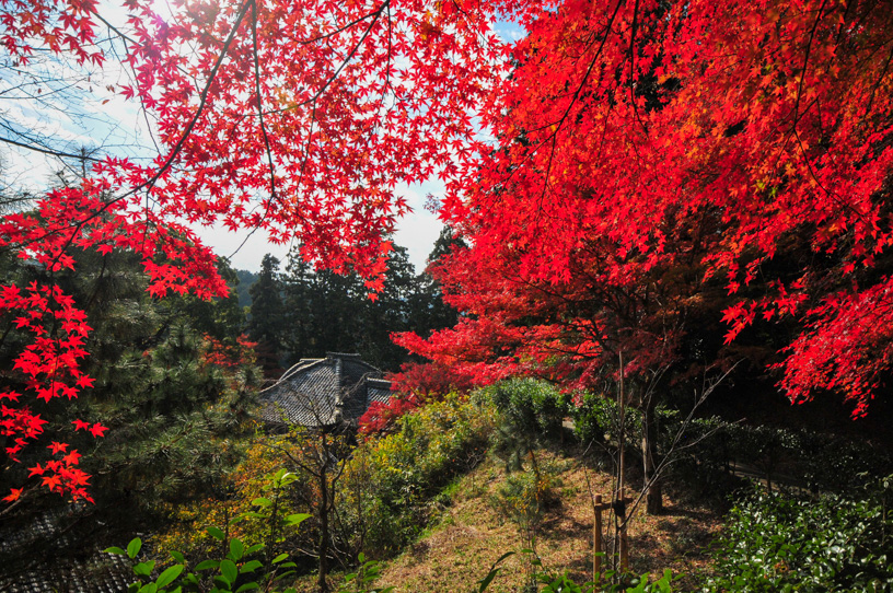 十輪寺（撮影日：2023年11月23日）