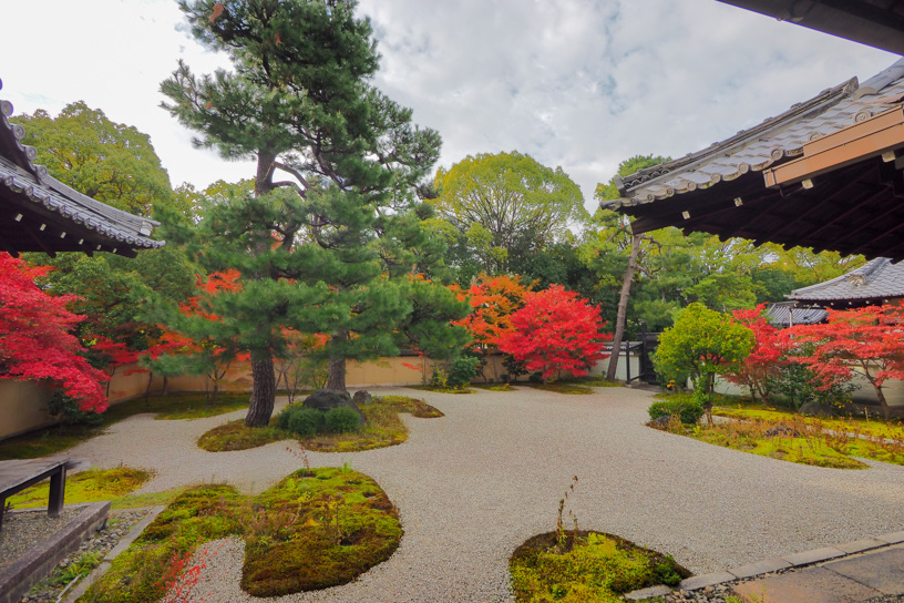 廬山寺（撮影日：2023年11月23日）