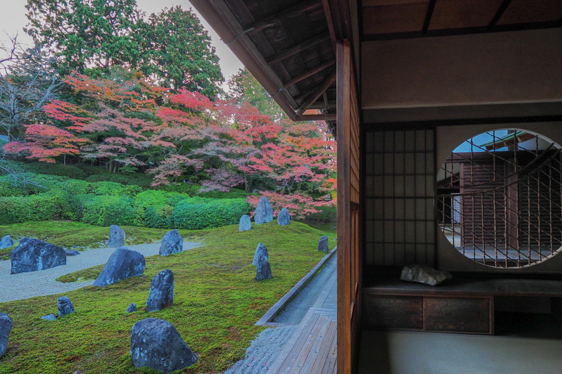 東福寺 光明院 波心庭（撮影日：2023年11月30日）