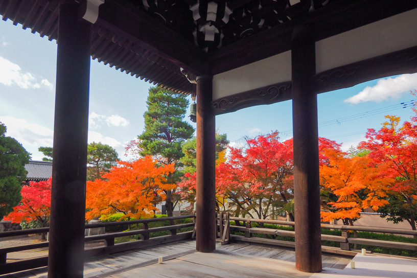 妙顕寺 本堂（撮影日：2023年11月30日）