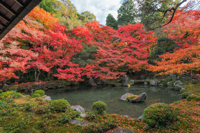 蓮華寺（撮影日：2023年12月1日）