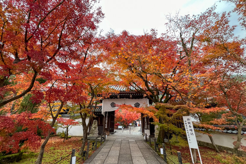 永観堂 中門まわり（撮影日：2023年12月7日）