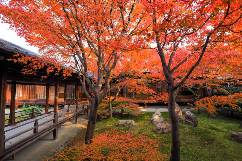 晩秋の紅葉狩りへ！ この週末におすすめの紅葉名所はココ！（2023/12/8