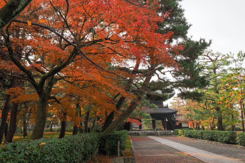 建仁寺 三門前（撮影日：2023年12月7日）