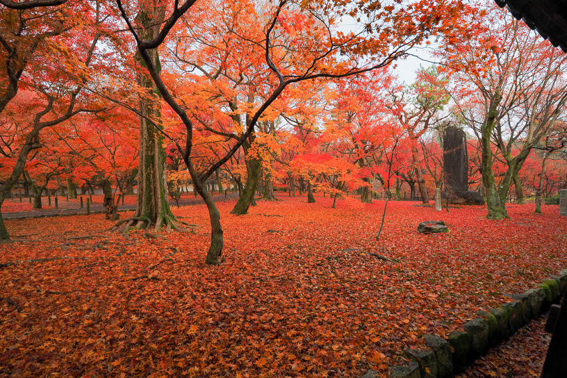 東福寺 洗玉澗（撮影日：2023年12月7日）