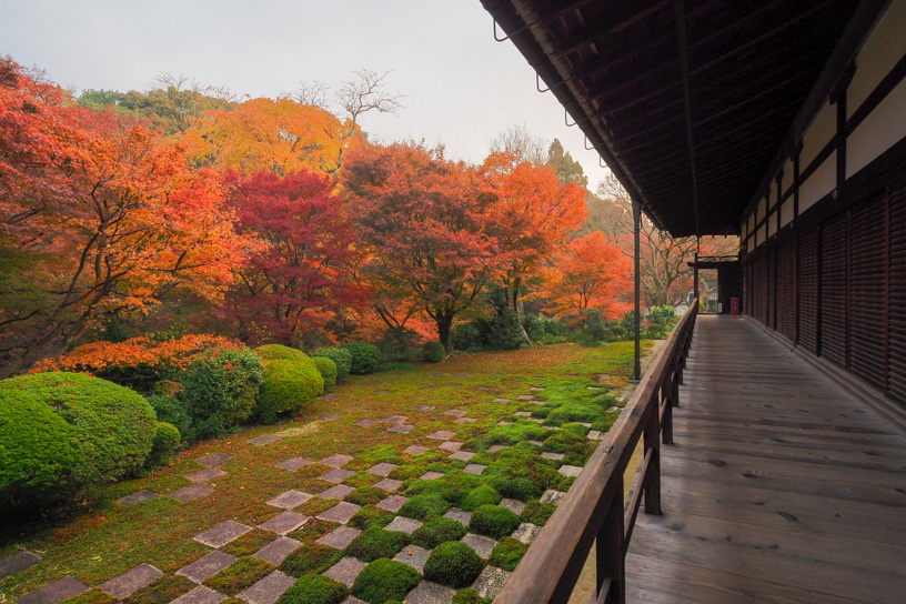 東福寺 方丈北庭（撮影日：2023年12月7日）