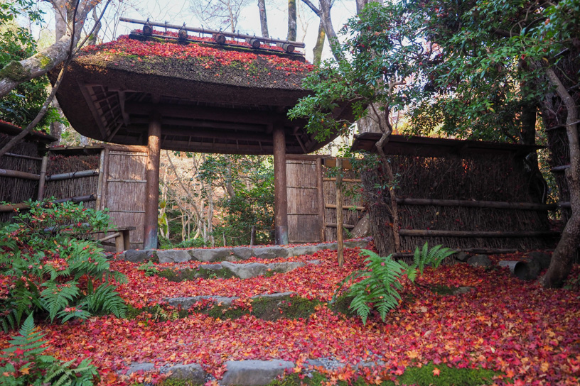 祇王寺（撮影日：2023年12月8日）