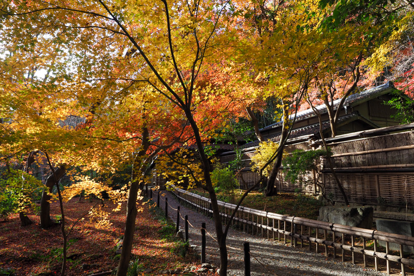 祇王寺（撮影日：2023年12月8日）