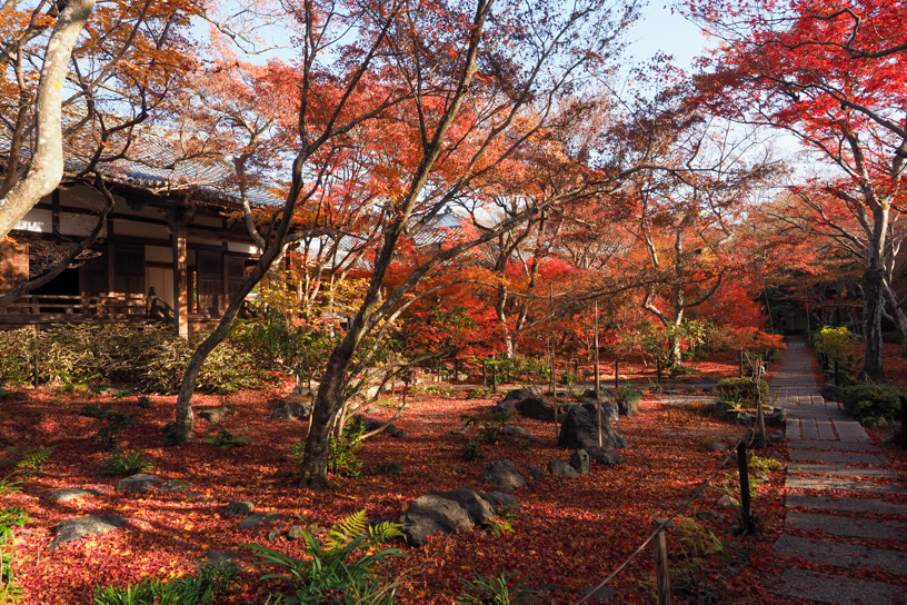 宝筺院（撮影日：2023年12月8日）