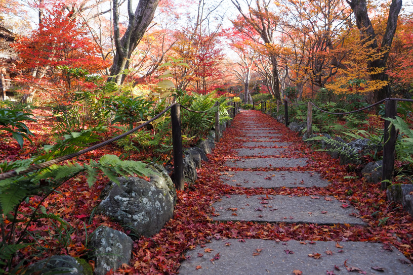 宝筺院（撮影日：2023年12月8日）