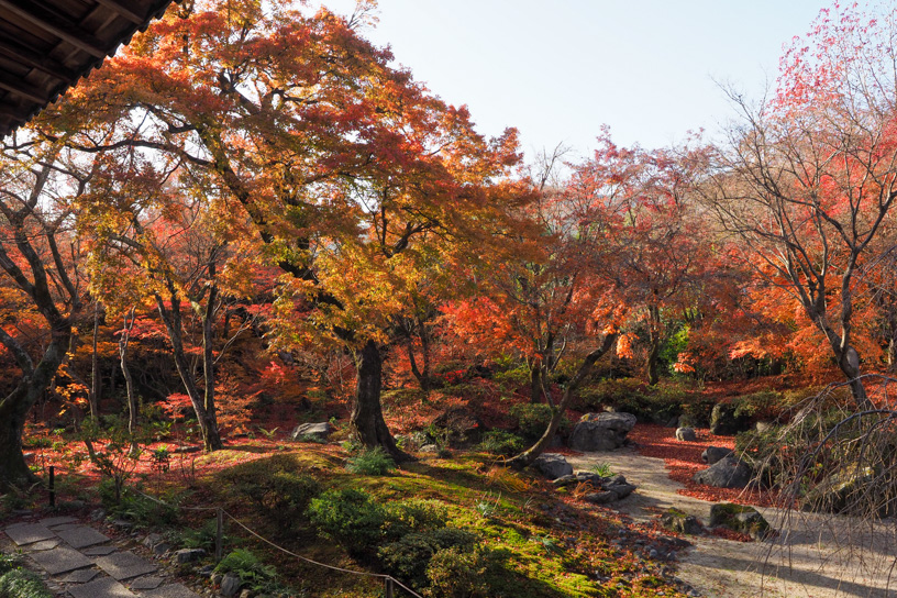 宝筺院（撮影日：2023年12月8日）