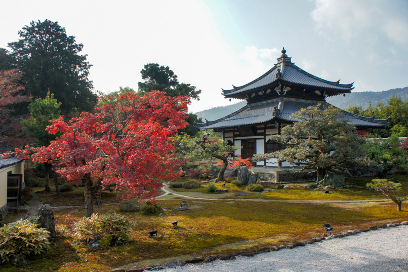 鹿王院 舎利殿前（撮影日：2023年12月7日）