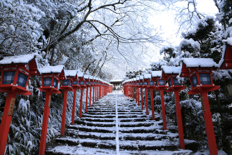 雪景色の参道も綺麗です