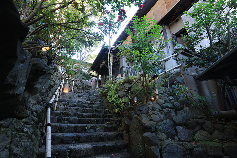 門をくぐり、石段を登ります