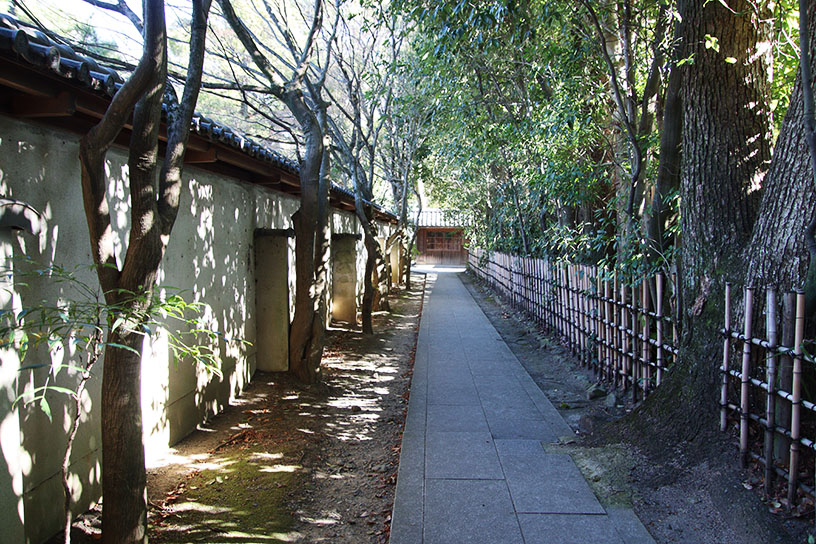 源氏庭の南にある通路を通って、突き当りを左に進むと井戸があります