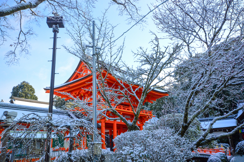 上賀茂神社（撮影日：2024年3月21日）