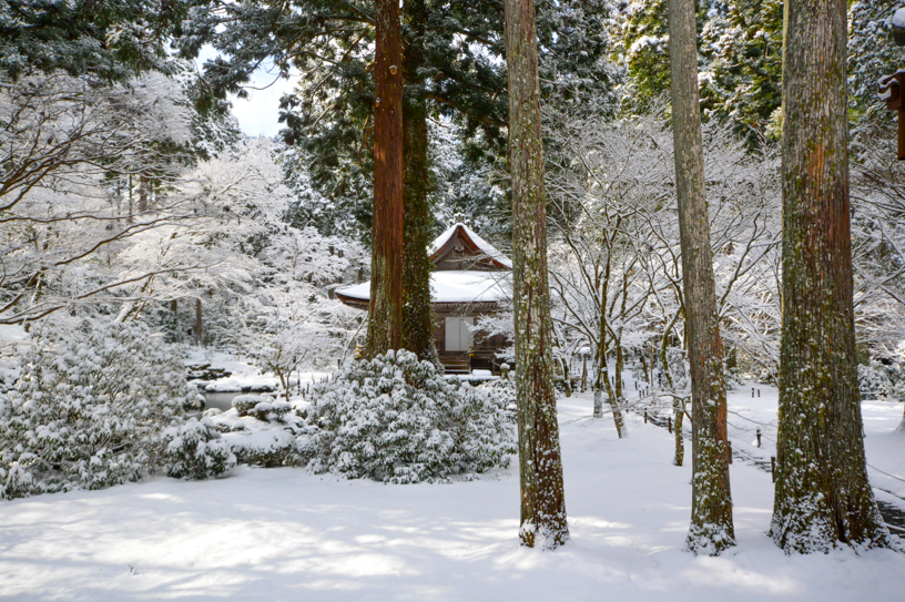 三千院（撮影日：2024年3月21日）