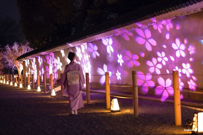 城壁一面を彩る、桜の花びら模様のライトアップ