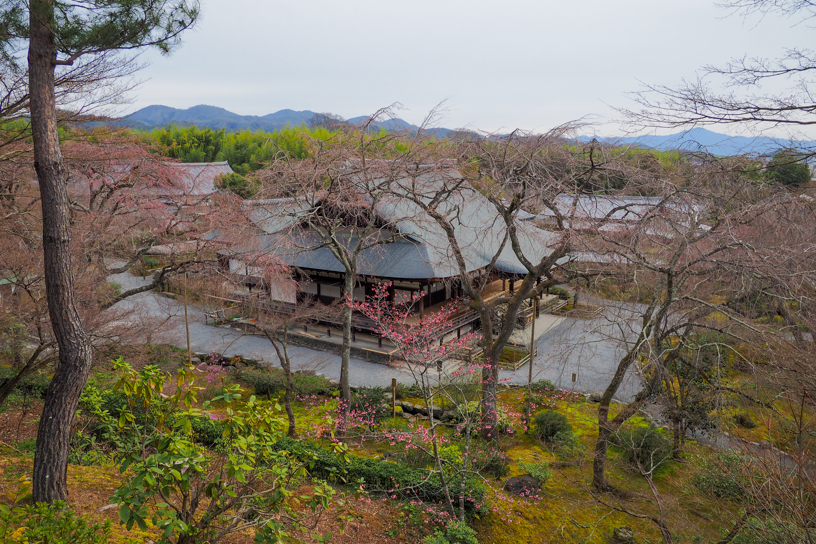 天龍寺 望京の丘（撮影日：2024年3月28日）