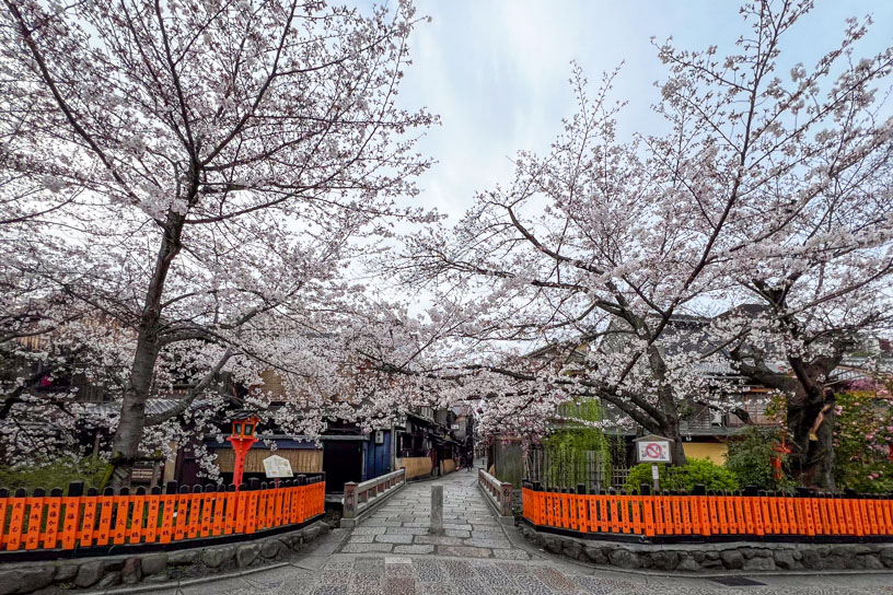 祇園白川（撮影日：2024年4月5日）