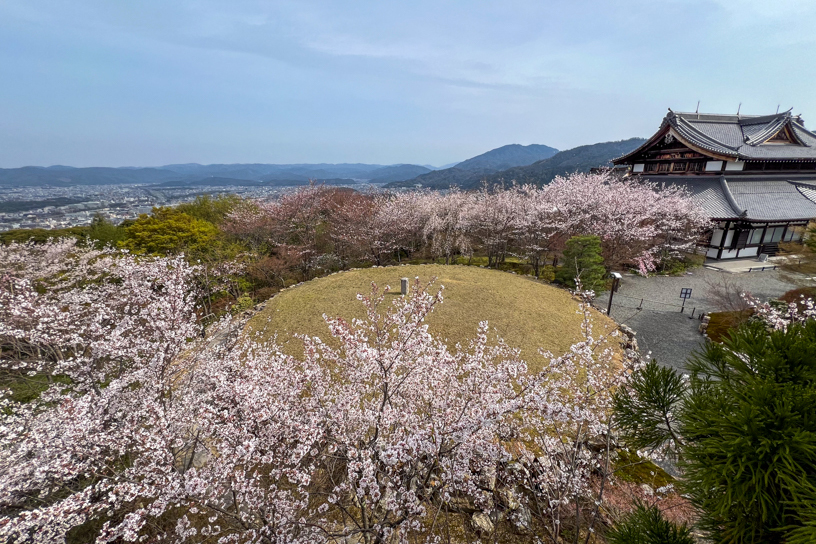 将軍塚青龍殿（撮影日：2024年4月5日）