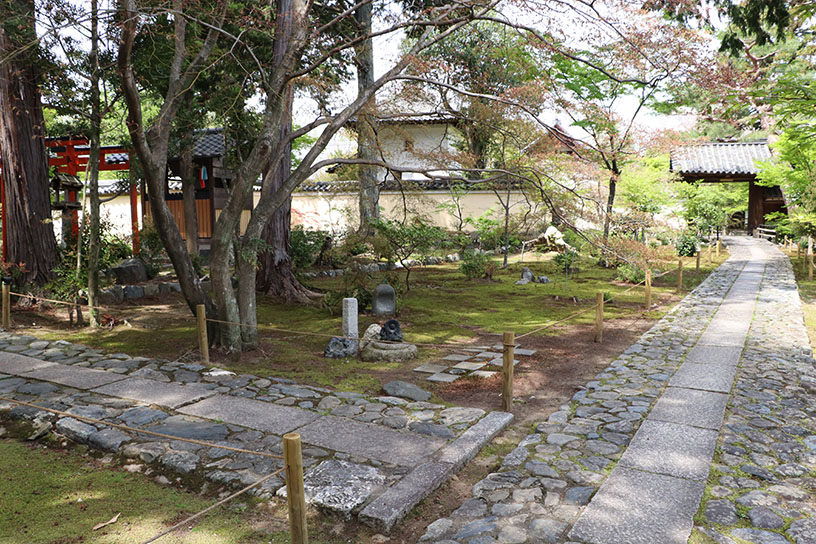 参道途中で左手に進むと、左に竹林の入口があります