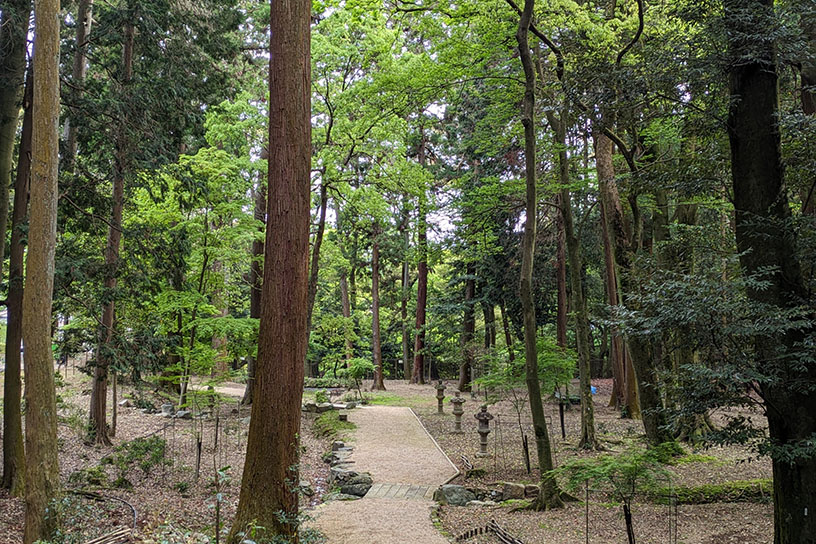 木々に包まれる境内