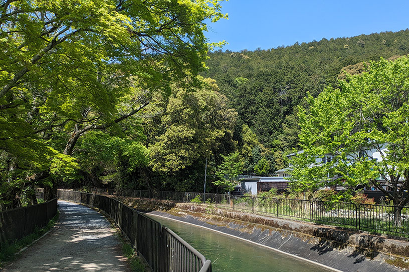 山科疏水