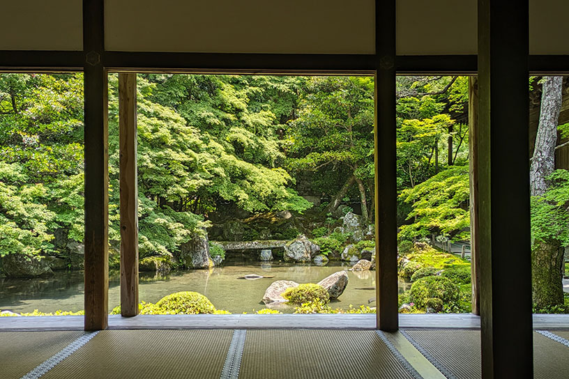 書院に腰をおろし、ゆっくり庭園鑑賞を