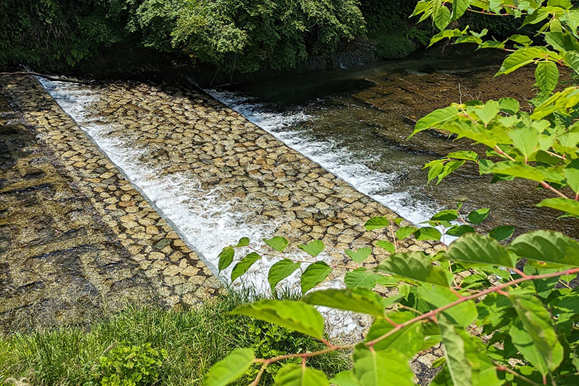 透き通るほど美しい高野川