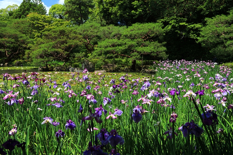 撮影日：2024年6月5日（水）