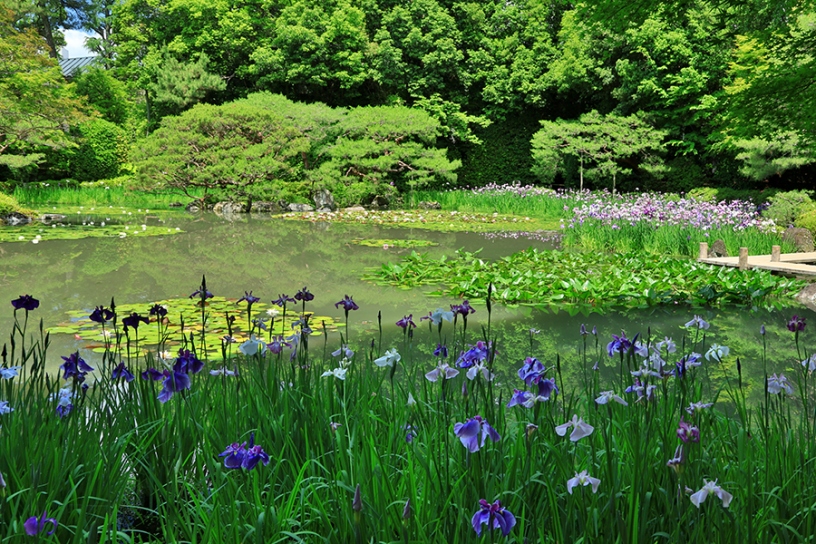 撮影日：2024年6月5日（水）