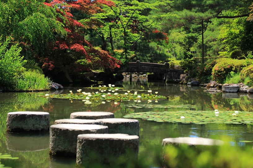 撮影日：2024年6月5日（水）