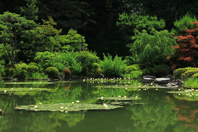 撮影日：2024年6月5日（水）