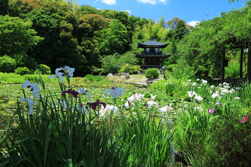 撮影日：2024年6月5日（水）