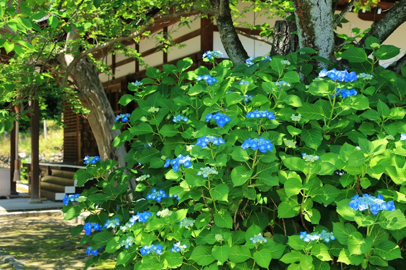 撮影日：2024年6月5日（水）